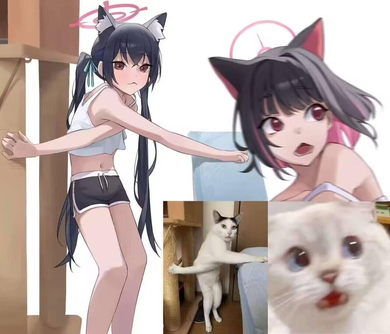 猫塚响