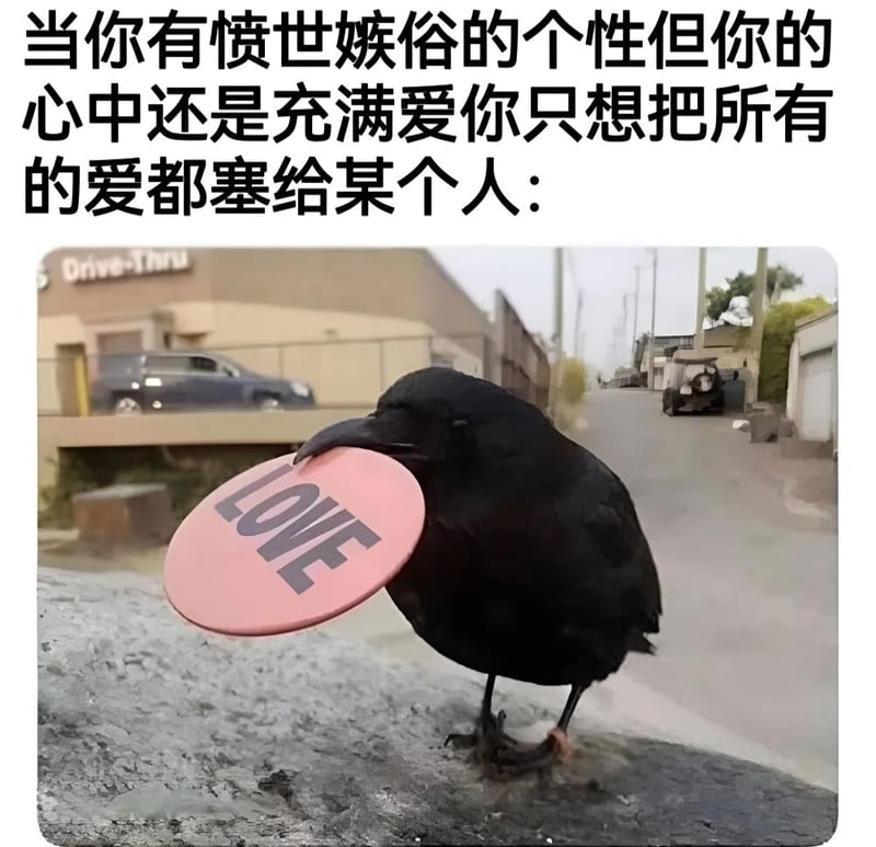 乌鸦