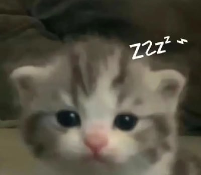 一张可爱的小猫咪特写照片，猫咪有着棕白相间的毛发和大大的黑眼睛，表情看起来有些困倦。图片右上角添加了'ZZZ'的卡通符号，用来表示猫咪想要睡觉的状态，整体给人一种温馨可爱的感觉。