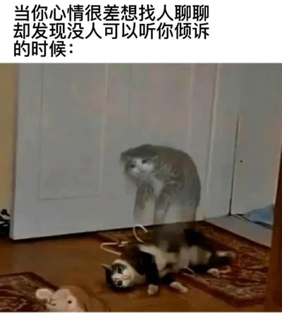 这张图片是一个表达孤独情绪的迷因。上方文字写着"当你心情很差想找人聊聊却发现没人可以听你倾诉的时候："，下方是一张经过编辑的猫咪照片。照片中有一只猫躺在地板上，旁边有一个毛绒玩具老鼠，而在它身后有一个半透明的猫的幻影站立着。这种视觉效果形象地表达了当人感到孤独、想倾诉却无人可找时的感受。