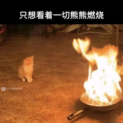 这是一张用于表达消极摆烂心态的表情包，画面呈现了室内地毯场景，一只体型小巧的橘色猫咪端正地坐在地上，面无表情地注视着一旁平底锅里燃起的熊熊大火；图片顶部配有白色文字“只想看着一切熊熊燃烧”，用猫咪冷眼旁观火情的画面，精准传递出一种事不关己、不愿干预，只想任由局面发展的躺平情绪，十分贴合当代人在面对无力改变的状况时，选择摆烂旁观的心态。