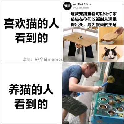 这是一张上下分栏的多图拼接对比梗图，通过两组画面的反差制造搞笑效果。上半部分呈现的是喜欢猫的人眼中的场景：一款专为猫咪设计的带圆洞餐桌，配文宣传该产品能让猫咪在主人用餐时从餐桌的圆洞中探出头，成为餐桌的主角，画面里的猫咪从洞中探出脑袋，氛围温馨治愈，契合爱猫人士对和猫咪互动的美好想象；下半部分则是养猫的人看到这款产品后的联想：一名男子正手持锤子专注地击打地鼠机，将猫咪从餐桌洞探出头的场景类比成打地鼠，调侃了养猫过程中，猫咪常常做出调皮举动，主人需要管教的真实日常，精准戳中养猫人的共鸣，用反差感体现了云吸猫者和真实养猫者的认知差异。