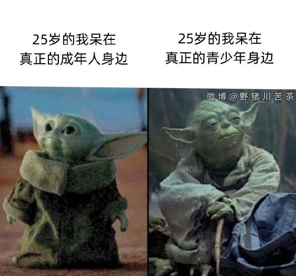 尤达大师