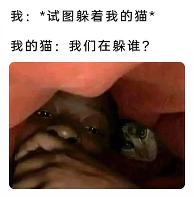 这是一张结合文字与合成图像的搞笑宠物梗图，上方文字以拟人的方式呈现了主人与猫的互动：主人想要躲开黏人的猫，结果猫完全没理解主人的意图，反而跟着主人一起挤在狭小的类似床底的空间里，还懵懂地疑惑“我们在躲谁”。图中真实人类露出无奈、生无可恋的表情，旁边的猫睁着大眼睛，一脸好奇，两者挤在狭小空间的画面完美呼应了文字内容，生动展现了养猫时猫咪黏人、对主人行为完全同步的可爱又搞笑的日常，能引发养猫群体的强烈共鸣。