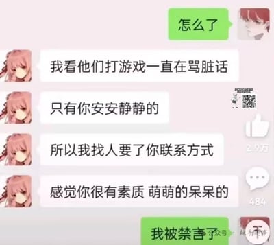 这是一张社交软件聊天记录截图，内容为使用红发二次元头像的男生先询问对方怎么了，使用粉发二次元头像的女生表示自己看到其他人打游戏时都在骂脏话，只有男生安安静静，因此特意找人要了男生的联系方式，夸赞男生很有素质，看起来萌萌呆呆的；最后男生回复称自己是被禁言了才没有说话，形成强烈的反差笑点。截图右侧带有2.9万点赞、484条评论的互动数据标识，还带有相关推广水印。