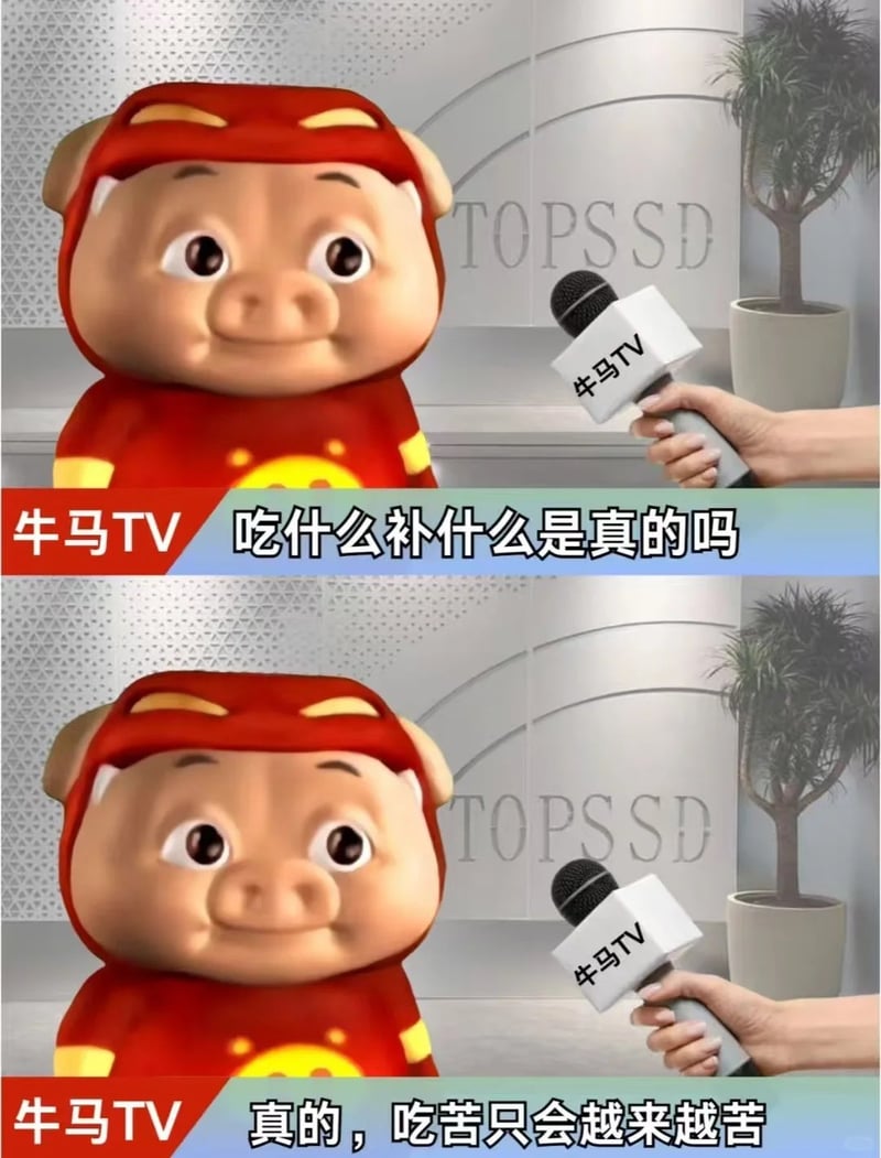 《猪猪侠》系列国产动画
