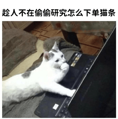 图片中一只灰白相间的猫咪正趴在黑色笔记本电脑上，前爪搭在键盘或触控板上，另一只爪子靠近嘴边，仿佛在认真研究如何操作。图片上方配有文字“趁人不在偷偷研究怎么下单猫条”，通过拟人化手法幽默展现猫咪像人一样想偷偷购买零食的可爱场景，整体风格轻松搞笑。
