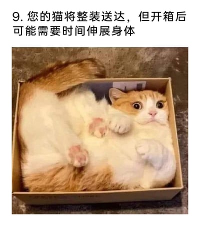 这是一张充满趣味的宠物图文内容，上方配有文字“9. 您的猫将整装送达，但开箱后可能需要时间伸展身体”，下方是一张真实拍摄的照片：一只橘白相间的猫咪，将自己的身体完全蜷缩在一个大小刚好匹配它身体的纸盒中，仰躺着，睁着圆溜溜的大眼睛看向镜头，四肢以蜷缩的姿态放在身体附近，模样软萌可爱。该内容结合猫咪喜欢钻狭小纸盒的习性，将猫咪调侃为被快递送达的商品，用拟人化的“送达”设定制造趣味，十分贴合宠物爱好者的喜好。