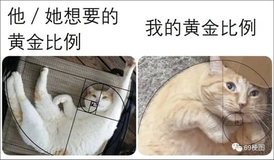 这是一张左右分栏的对比类搞笑梗图，左侧区域上方配有文字“他/她想要的黄金比例”，图中一只白橘猫四肢舒展地躺卧着，身体的线条恰好契合叠加的黄金螺旋线，呈现出符合大众审美中匀称舒展的“标准比例”状态；右侧区域上方配有文字“我的黄金比例”，一只体态丰腴的胖橘猫趴着看向镜头，黄金螺旋线贴合在它的脸部与身体上，用反差感调侃了外界期待的完美身材和自身真实状态的不同。整张图以可爱的猫咪为载体，用轻松幽默的方式消解身材焦虑，引发观者共鸣。