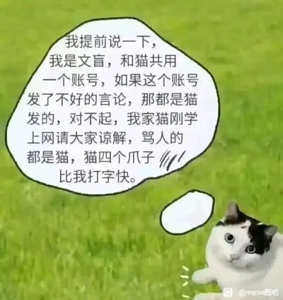 这是一张静态的图文混排类表情包，画面背景是绿色草地，主体是一只白黑花色的猫咪，它趴在草地上，眼神无辜懵懂，一只前爪抬起，旁边配有一个对白气泡。气泡内是账号使用者提前发出的趣味免责声明：称自己是文盲，和猫共用账号，若账号发布不当言论，都是刚学上网的猫所为，还调侃猫用四个爪子打字比自己快。整个内容用荒诞搞笑的方式，为自己可能出现的不当言论提前找好“甩锅”的借口，结合猫咪的无辜形象，进一步放大了滑稽的效果，适合在社交平台用于互动，或是提前打预防针式的趣味表达。