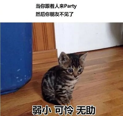 图片上方有文字'当你跟着人来Party 然后你朋友不见了'，下方是一只虎斑小猫独自坐在木地板上，旁边有蓝色垃圾桶和门，小猫眼神迷茫，下方配有文字'弱小 可怜 无助'。整体通过小猫的无助形象幽默地表达了在派对上与朋友走散后的尴尬和无措感。