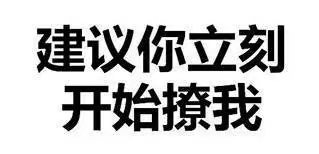 这是一张纯文字图片，背景为纯白色，中央用黑色粗体字写着“建议你立刻开始撩我”。文字排版简洁直接，整体风格直白大胆，通常用于在社交互动中向对方表达希望被关注或主动示好的俏皮诉求。