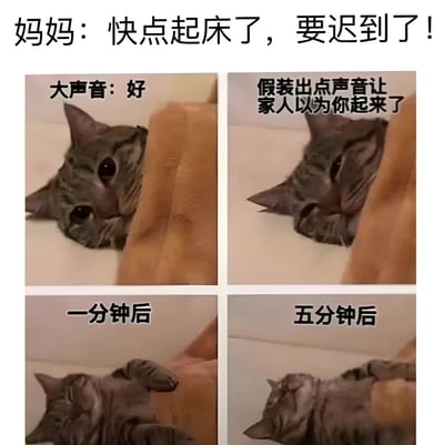 图片为四格连环图，上方配有文字“妈妈：快点起床了，要迟到了！”。第一格中，一只虎斑猫从被子里探出头，配文“大声音：好”，眼神警觉；第二格猫把头埋回被子，配文“假装出点声音让家人以为你起来了”，表情敷衍；第三格“一分钟后”，猫四仰八叉躺在床上，神态放松；第四格“五分钟后”，猫完全进入熟睡状态。通过猫咪的反应幽默还原了人们被催促起床时表面答应、实则继续赖床的真实场景，引发共鸣。