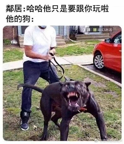 这是一张文字加注的真实照片梗图，图上方配有文字“鄰居:哈哈他只是要跟你玩啦 他的狗:”，下方的照片里，一名戴着口罩的男子双手用力拉住狗绳，身体向后仰，试图控制住身前的黑色大狗；这只黑狗张着嘴露出尖锐的牙齿，面部肌肉紧绷，身体呈现出往前扑的姿态，表情凶狠，和邻居所说的“只是想玩”形成强烈的反差，制造出搞笑的效果，用来吐槽那些自家宠物明明很凶，主人却还轻描淡写表示宠物只是在玩的常见场景。