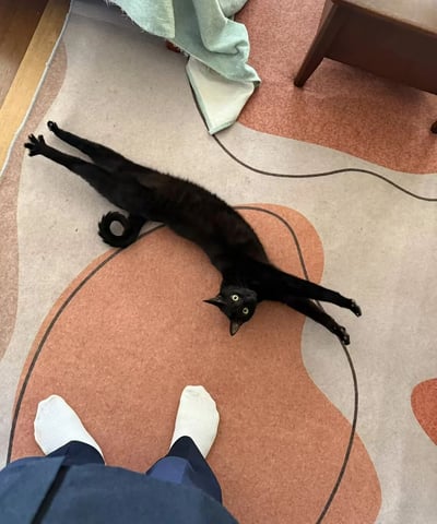 一只纯黑色的猫咪以极其舒展的姿势躺在带有抽象图案的地毯上，身体完全伸展开来，四肢朝天，尾巴卷曲在身侧。猫咪仰着头，绿色的眼睛睁得大大的，正好奇地看向镜头方向。地毯上有米色和橙色的不规则形状图案，左上角有一块浅绿色的毛巾随意放置，右上角能看到部分木质家具的腿。图片下方可以看到拍摄者穿着白色袜子和蓝色裤子的双脚，形成了人与宠物互动的温馨场景。