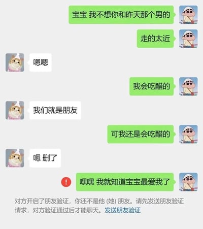 这是一张模拟微信聊天记录的搞笑梗图，使用蜡笔小新和网红猫咪楼楼猫作为头像的双方展开对话：蜡笔小新头像的一方向对方表达自己吃醋，希望对方不要和其他男性走太近，对方先是回应只是朋友，随后说“嗯 删了”，正当前者开心地以为对方删了那个男性时，却发现自己被对方删除，出现微信的好友验证提示。整个对话通过“删了”的对象反转，制造出讽刺又好笑的效果，戳中情侣间的相处反差笑点。