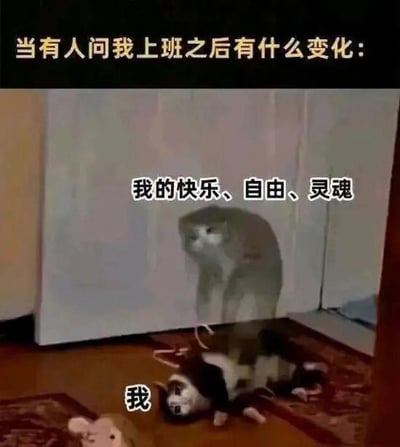 这是一张幽默梗图，展示了一只猫瘫倒在地上，而墙上的影子却呈现出一只精神抖擞的猫的形象。图片通过猫和它影子的对比，幽默地表达了上班后失去快乐、自由和灵魂的状态。上方文字写着“当有人问我上班之后有什么变化：”，影子猫旁边标注“我的快乐、自由、灵魂”，而地上的猫旁边标注“我”。这种对比生动形象地展现了职场人士的无奈和疲惫。