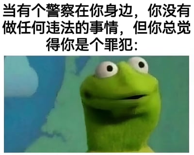 这张梗图上方配有文字：'当有个警察在你身边，你没有做任何违法的事情，但你总觉得你是个罪犯：'，下方是一张科米蛙(Kermit the Frog)的特写照片。科米蛙瞪大双眼，嘴角微微上扬，表情看起来既紧张又有些心虚，完美诠释了人们在权威人物面前即使没有做错事也会感到不自在的普遍心理现象。