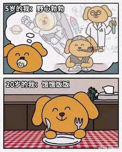 这是一张用卡通狗狗形象表现成长 ideals gap 的梗图。上半部分是5岁时有着远大理想的小狗，幻想自己可以成为宇航员、科学家、侦探等各种职业。而下半部分是20岁的小狗，只求能吃上饭、生活简单满足，形成理想与现实的强烈反差，结合“饥饥饭饭”网络用语，让人会心一笑。

图片有“理想丰满，现实骨感”的双关含义，并用“饥饥饭饭”梗做俏皮总结，表现成年后理想变成仅仅满足基本需求的现实无奈。