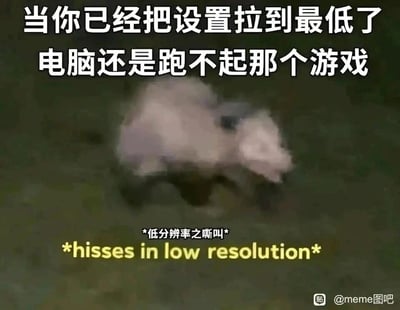 这是一张精准吐槽低配置电脑游戏玩家处境的搞笑梗图。顶部配有醒目的中文文字“当你已经把设置拉到最低了 电脑还是跑不起那个游戏”，直击低配置玩家的无奈痛点——为了运行想玩的游戏，已经将画质、分辨率、帧率限制等所有游戏设置调到最低档位，但电脑依旧无法流畅运行游戏。图中主体是一个极度模糊、低分辨率的动物形象，完美模拟了游戏因配置不足而画质暴跌的视觉效果，底部配有“*低分辨率之嘶叫*”的中文文字和对应的英文“*hisses in low resolution*”，用动物愤怒嘶叫的状态拟人化玩家此刻愤怒又无力的情绪，将低配置玩游戏的崩溃感具象化，极易引发同处境玩家的共鸣。