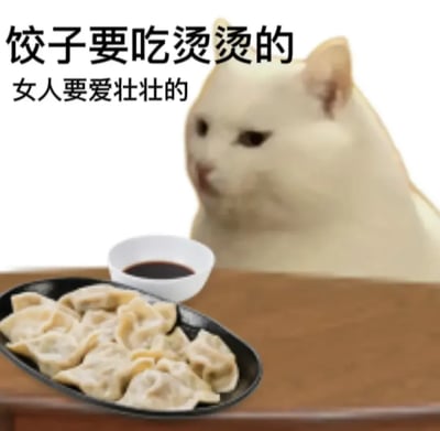 这张梗图是一只呆滞的白猫看着一盘饺子，配有“饺子要吃烫烫的，女人要爱壮壮的”文字。整体画面温暖幽默，通过用“烫烫的”和“壮壮的”形成双关，既表达了吃饺子的习惯，也用调侃的方式鼓励女性自信，拥有健康的身体和积极的心态。