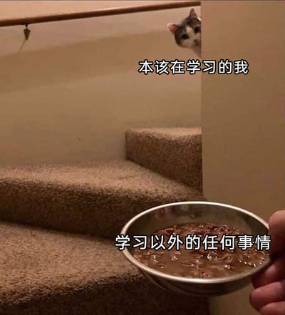 这是一张充满共鸣感的趣味梗图，画面中一只猫咪躲在楼梯拐角处，好奇地盯着下方的猫罐头，配文将猫咪标注为“本该在学习的我”，将猫罐头标注为“学习以外的任何事情”，生动形象地刻画了人们在需要学习时，总是难以抵抗学习之外事物的诱惑，容易分心的日常状态，精准戳中了学生群体以及需要学习提升的人们的普遍心态，引发强烈共鸣。