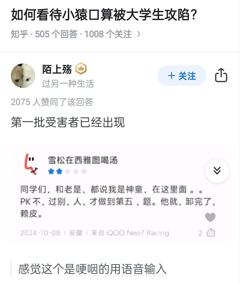 Doge柴犬
