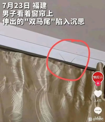 这是一张记录生活中趣味视觉错位的图片，7月23日福建的一名男子，看到自家窗帘上方轨道的两道细微裂痕，在窗帘纹理的搭配下，这两道裂痕看起来像是从窗帘里伸出来的双马尾，男子因此陷入沉思。图中用红色圆圈标注出了那两道造成视觉错觉的轨道裂痕，搭配上方的文字说明，凸显出这个生活里偶然出现的有趣误会。