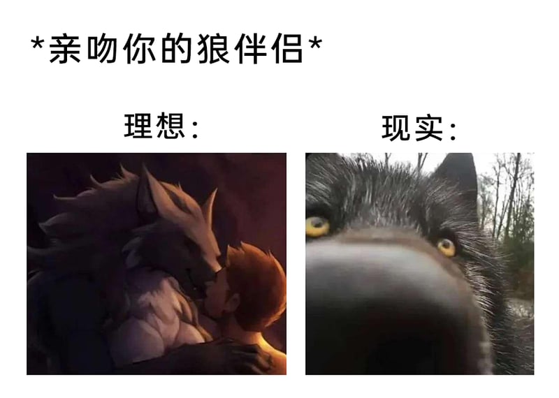 兽人向二次元创作