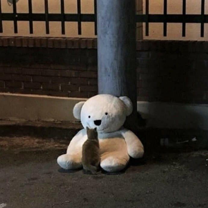 普通毛绒玩具