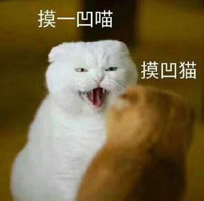 这是一张经过文字加注和P图改编的宠物搞笑表情包，画面为单张静态图，主体是一只白色折耳猫，它被一只橘色猫咪的爪子触碰后，张着嘴露出牙齿，眼神愤怒不满，呈现出炸毛发怒的状态。图片上方配有文字“摸一凹喵”，右侧配有文字“摸凹猫”，运用了拼音拆分的谐音梗：“摸一凹”拼接起来是“喵（miāo）”，对应猫咪的叫声；“摸凹”拼接起来是“猫（māo）”，对应猫咪本身，结合白猫愤怒的表情，将被摸后的不满情绪用谐音梗趣味化表达，整体风格搞笑诙谐，适合在社交互动中用来表达被打扰、触碰后的不悦情绪。