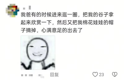 这是一张社交媒体上的搞笑梗图，上方是文字描述："我爸有的时候进来逛一圈，把我的谷子拿起来欣赏一下，然后又把我棉花娃娃的帽子摘掉，心满意足的出去了"，下方配有一个简笔画风格的笑脸人物，人物双臂张开，表情开心。图片展现了父亲对子女兴趣爱好的可爱干涉，带有温馨又无奈的幽默感。