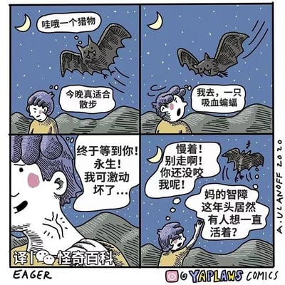 这是一幅四格连环卡通漫画，背景是夜晚带有月牙和繁星的户外山地场景。第一格：吸血蝙蝠在空中飞行，内心想着“哇哦一个猎物”，下方的人类则悠闲地感慨“今晚真适合散步”；第二格：人类抬头发现蝙蝠，惊讶地喊出“我去，一只吸血蝙蝠”；第三格：人类瞬间变得兴奋不已，激动地大喊“终于等到你！永生！我可激动坏了...”；第四格：蝙蝠见状吓得转身逃离，内心吐槽“妈的智障 这年头居然有人想一直活着？”，人类则急切地伸手挽留，大喊“慢着！别走啊！你还没咬我呢！”。漫画通过反转的设定制造笑点，打破了“人类惧怕吸血蝙蝠”的常规认知，借蝙蝠的吐槽讽刺了部分人对永生的盲目渴望，也从侧面暗示永生或许并非是值得追求的美好之事。