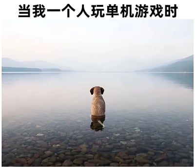 一只狗独自站在清澈的浅水中，面向平静的湖面和远处的山脉，营造出一种宁静而孤独的氛围。图片上方配有文字'当我一个人玩单机游戏时'，通过狗的孤独背影幽默地比喻独自玩单机游戏时的状态。