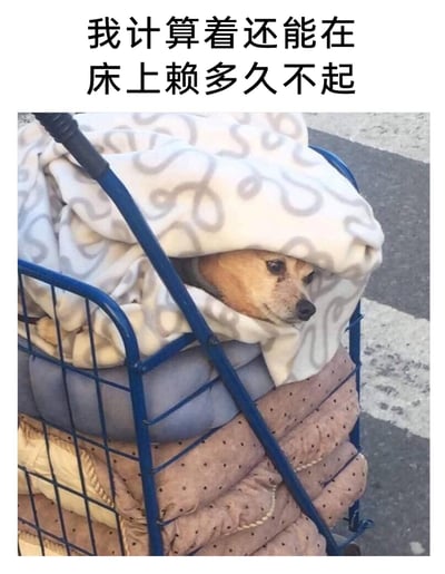 这是一张极易引发大众共鸣的日常梗图，图片上方配有文字“我计算着还能在床上赖多久不起”，画面主体是一只柴犬缩在蓝色手推车里的被褥堆中，身上盖着带有灰色花纹的白色毯子，只露出脑袋。狗狗眼神无奈又带着一丝纠结，无精打采的模样完美复刻了人们尤其是打工人在不想起床时，躺在床上内心盘算还能赖床多久的挣扎状态，精准戳中了大众贪恋被窝、不想起床的恋床心态。