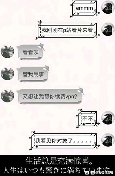 这是一张采用模板改编的聊天记录形式搞笑meme图，画面使用带有X/Y坐标轴的特殊对话框展示对话，分为两个角色：乌鸦头像用户和另一游戏风格头像用户。对话初期，乌鸦头像用户先含糊地发出“emmm”，接着告知对方自己在P站看片，另一用户误以为对方又要找自己帮忙续费VPN，接连用不耐烦的语气回复“看看呗”“管我屁事”“又想让我帮你续费vpn?”，随后乌鸦头像用户急忙否认，并抛出反转内容“我看见你对象了。。。。。”，图片底部配上“生活总是充满惊喜。人生はいつも驚きに満ちています”的中日双语吐槽，将对话从普通的网络社交请求转向扎心的意外场景，制造出强烈的搞笑与反转效果，精准戳中当代人在网络社交中遇到的突发“社死”类扎心瞬间。