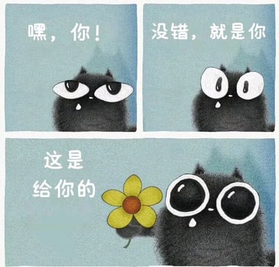 三格连环漫画，主角是一只毛茸茸的黑色小猫。第一格（左上）小猫瞪着大眼睛，嘴角带着汗珠，配文“嘿，你！”；第二格（右上）小猫眼睛瞪得更大，表情更惊讶，配文“没错，就是你”；第三格（下方）小猫双手捧着一朵黄色小花，眼睛依旧很大，带着害羞的汗珠，配文“这是给你的”。整体风格可爱治愈，小猫的表情从紧张到惊讶再到害羞，传递出温馨友好的氛围。