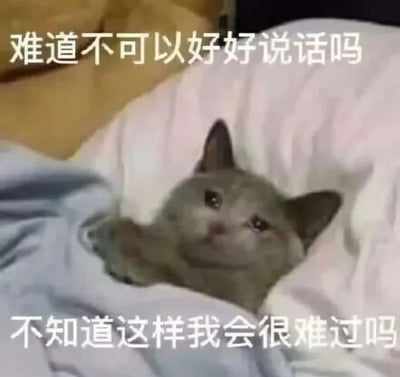图片中一只灰色小猫蜷缩在柔软的白色毯子里，仰头睁着圆溜溜的大眼睛，眼神中透着委屈与无助。图片上方配有文字“难道不可以好好说话吗”，下方文字“不知道这样我会很难过吗”，通过小猫的萌态与文字结合，生动表达了希望对方温和沟通、自身感到委屈的情绪，整体画面温馨又带着一丝惹人怜爱的感觉。