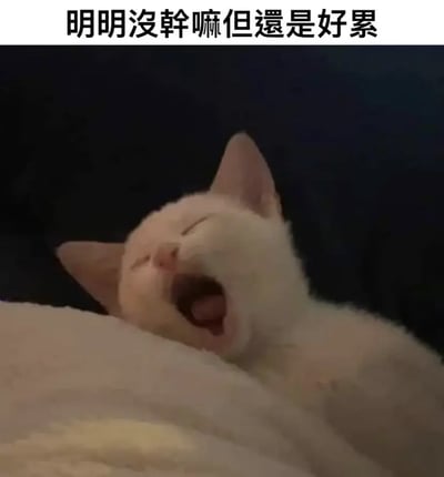 这张图展示了一只白色的小猫咪，正张大嘴巴打哈欠，表情非常疲倦。配文写着“明明没干嘛但还是好累”，表达了一种无所事事却依然感到身心疲惫的情绪。这种“空虚型疲劳”在当代年轻人中非常有共鸣，常用于自嘲和吐槽日常生活的无力感。

图中“打哈欠的猫咪”采用了动物拟人化的表现，有点卖萌，也十分贴合配文描述的无奈情绪。

没有特别的双关、谐音梗或暗示。
