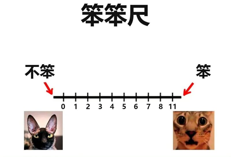 惊讶猫
