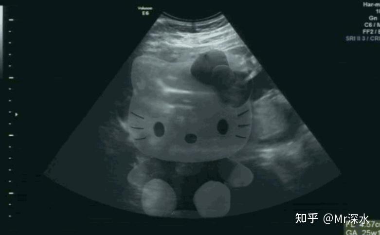 Sanrio