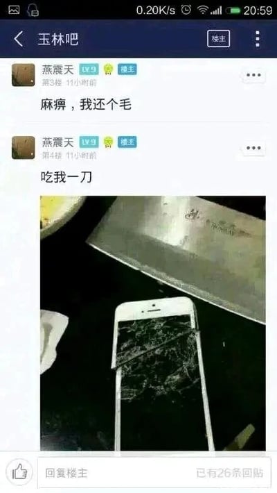 这是一张百度贴吧“玉林吧”的社交媒体截图，楼主用户“燕震天”先发布了两条充满愤怒情绪的文字：“麻痹，我还个毛”和“吃我一刀”，随后附上了一张实物照片，照片中一把菜刀放置在屏幕完全碎裂的白色智能手机上方，视觉上呈现出用菜刀劈碎手机的效果，通过这种夸张的图文结合方式，将自己的愤怒情绪具象化，以此在网络上发泄内心的不满，整体内容直白地传递出强烈的负面情绪，用极端的物品和损坏的电子设备来强化情绪的表达。