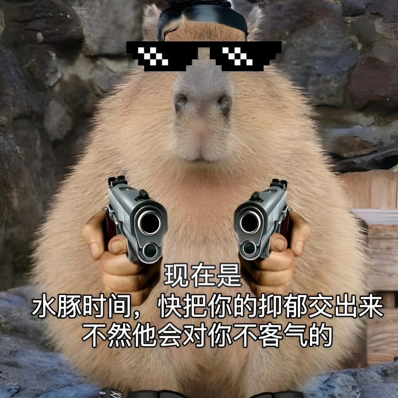 水豚