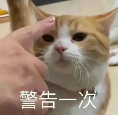 图片中是一只橘白相间的猫咪，表情平静略带无奈，一只手的食指正指着它的额头。图片底部有白色文字“警告一次”，通过猫咪严肃的表情与警告文字的搭配，营造出幽默搞笑的效果，常用于社交媒体中表达轻微的警告或调侃。