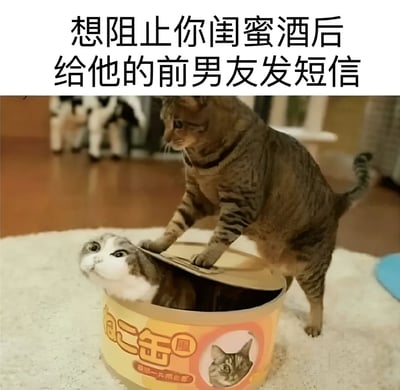 图片上方有文字'想阻止你闺蜜酒后给他的前男友发短信'，下方是一张照片：一只虎斑猫站在黄色罐头的盖子上，试图将盖子合上，罐头里有另一只猫探出头来，表情看起来有些惊讶。图片通过猫咪的互动场景，幽默地比喻了想要阻止闺蜜酒后冲动联系前男友的情景，充满生活气息和调侃意味。