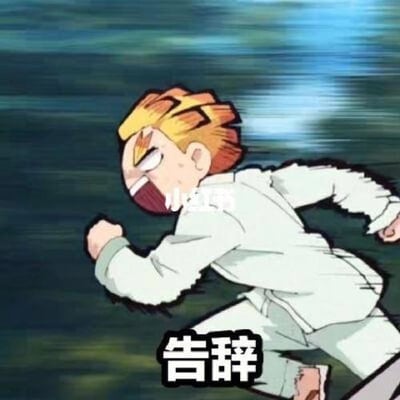 图片中是《鬼灭之刃》的角色我妻善逸，他有着标志性的黄色刺猬头，身穿白色羽织和黑色制服，正以极快的速度奔跑，背景因高速移动而模糊，呈现出动态感。角色表情焦急且决绝，嘴巴大张似乎在呐喊。图片底部有醒目的黑色边框白色文字“告辞”，胸部位置有“小红书”水印。整体用于表达匆忙离开、快速告别的情景，常作为表情包使用。
