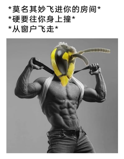 这是一张经过图像合成的搞笑吐槽图片，创作者将黄蜂的头部与拥有夸张健硕肌肉的男性身体拼接在一起，形成拟人化的黄蜂形象。图片上方配有三段文字，描述了生活中常见的黄蜂迷惑行为：先是莫名其妙飞进房间，接着硬往人身上撞，最后又从窗户飞走。用肌肉猛男的形象来拟人化黄蜂，放大了这种行为的迷惑感和无厘头，通过强烈的视觉反差制造出搞笑效果，精准吐槽了生活中遇到这类突然闯入又快速离开的小动物时的无语与迷惑心情。