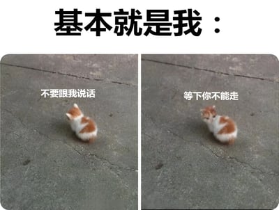 图片上方有黑色大字标题“基本就是我：”，下方分为左右两个面板。左面板中一只橘白相间的小猫背对镜头蜷缩在水泥地面上，配文“不要跟我说话”，展现出拒绝社交的姿态；右面板中同一只小猫抬头望向镜头，配文“等下你不能走”，呈现出渴望互动的矛盾状态。整体通过猫咪前后反差的行为，幽默地调侃了人们在社交中既想独处又怕孤独的矛盾心理。
