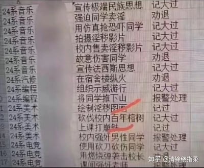 这是一张模拟的校园学生违纪处罚名单表格，表格里列出了24系不同专业学生的“违纪行为”和对应的处罚，其中大部分行为是极其夸张、离谱的违法违规行为，比如强迫同学卖淫、宿舍楼纵火、将同学推下山等，同时夹杂了“上课打瞌睡”这种普通小违纪，严重行为和轻微行为并列，形成强烈的反差感，制造荒诞搞笑的效果。
没有双关、谐音梗或暗示内容。