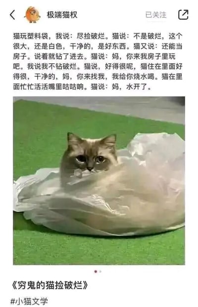 这是一张来自微博的社交媒体截图，属于图文混排内容。顶部是用户“极端猫权”发布的一段“小猫文学”文字，以主人和家中猫咪的对话展开：主人调侃猫玩的塑料袋是破烂，猫咪却认真地认为这个白色大塑料袋是干净的好东西，还把它当作自己的房子，邀请主人进来，甚至说要给主人烧水喝，最后还模拟忙活着的样子说水开了。下方配了一张实拍图，一只猫咪钻进了白色塑料袋中，只露出头部，眼神无辜又认真，和文字内容形成呼应。整体内容用拟人化的手法，赋予猫咪天真的视角和想法，风格治愈又带着可爱的幽默感，展现了宠物简单容易满足的小快乐，属于当下流行的“小猫文学”创作类型。